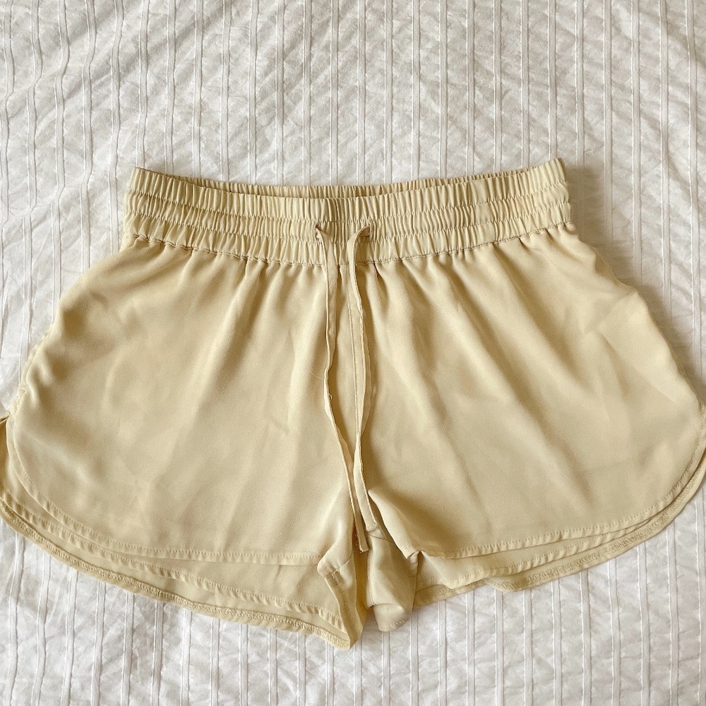Aritzia Sunday Best Chiffon Shorts